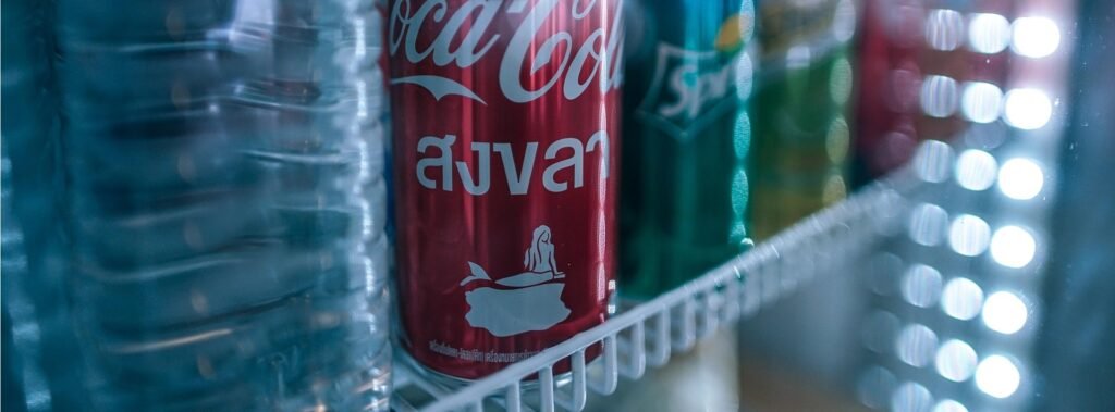 best large fridge in india
